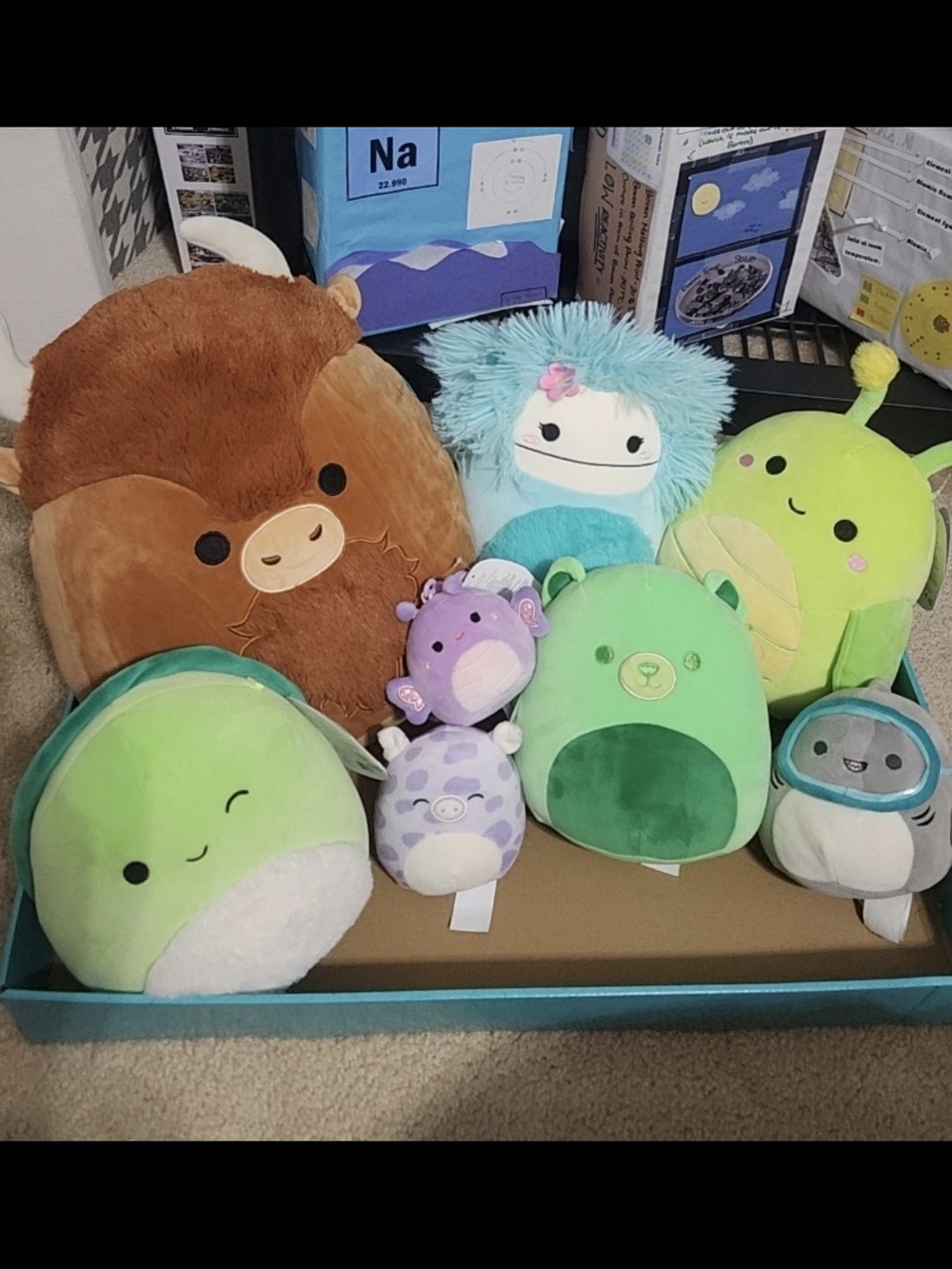 Squishmallows - Picture 4 of 5